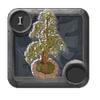 Summer tree
