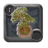 Small fruit tree