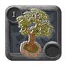 Fruit tree