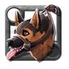 Shepherd
