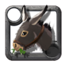 Recruiter's Donkey