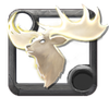 Divine Stag