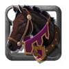 Seventh-Year Stallion