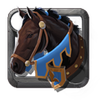 Eighth-Year Stallion