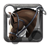 Brown Mare