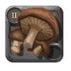 Arcane Agaric