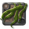 Beans
