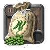 Bean Seeds