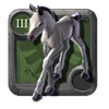 Journeyman's Foal