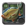 Whitefog Snapper
