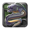 Greenriver Eel