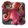 Shallowshore Squid