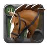 Journeyman's Riding Horse