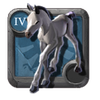 Adept's Foal