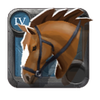 Adept's Riding Horse