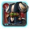 Expert's Mage Robe
