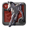 Expert's Foal