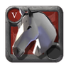 Expert's Horse
