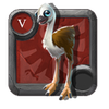 Baby Moabird