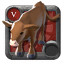Expert's Ox Calf
