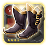 Expert's Shoes of Tenacity