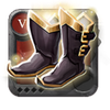 Expert's Shoes of Tenacity