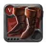 Expert's Royal Shoes