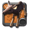 Moose Calf