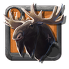 Tame Moose