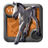 Master's Foal