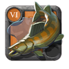 Brightscale Zander