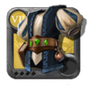 Grandmaster's Mage Robe
