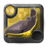 Grandmaster's Druidic Bindings