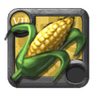 Bundle of Corn