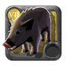 Direboar Piglet