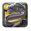 Deadwater Eel