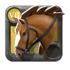 Grandmaster's Riding Horse
