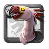 Tame Elite Terrorbird
