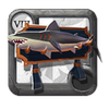 Trophy Shark