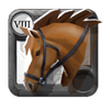 Elder's Riding Horse