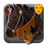 Riding Horse Skin: Sixth-Year Stallion