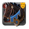 Riding Horse Skin: Eighth-Year Stallion