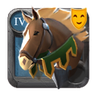 Riding Horse Skin: Recruiter