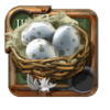 Hen Eggs