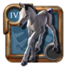 Adept's Foal