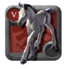 Expert's Foal