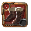 Expert's Assassin Shoes